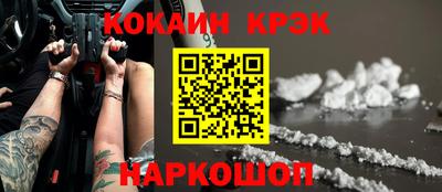 крисы Новозыбков
