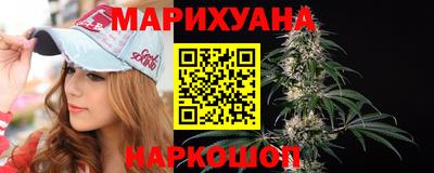 крисы Новозыбков