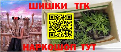 крисы Новозыбков