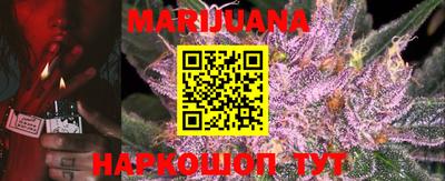крисы Новозыбков