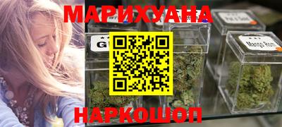 крисы Новозыбков
