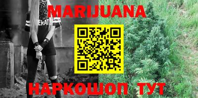 крисы Новозыбков