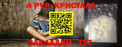 крисы Новозыбков