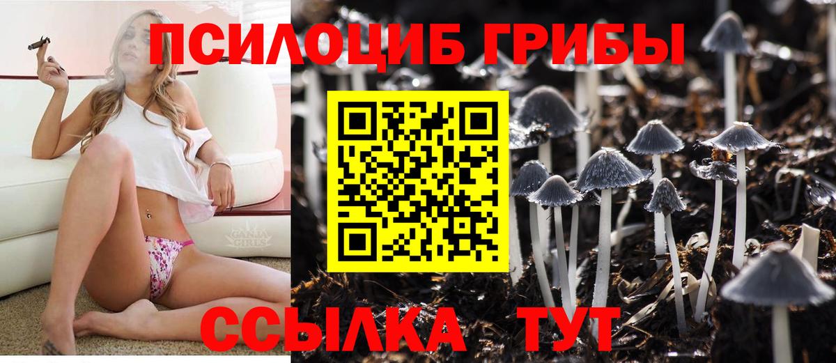 Галлюциногенные грибы Psilocybe Строитель