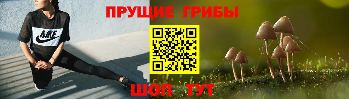 Галлюциногенные грибы Psilocybe  Галлюциногенные грибы Psilocybe  Строитель  Вход с VPN 